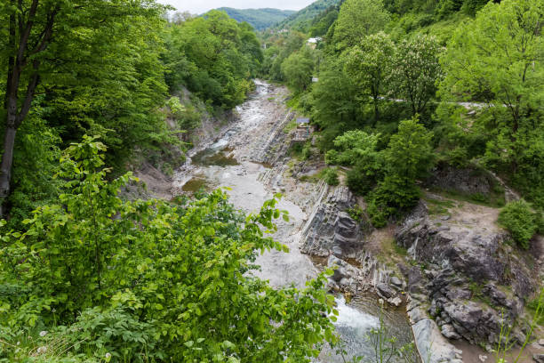 istock Mountain river in forest at spring overcast day in Carpathians 1495565637