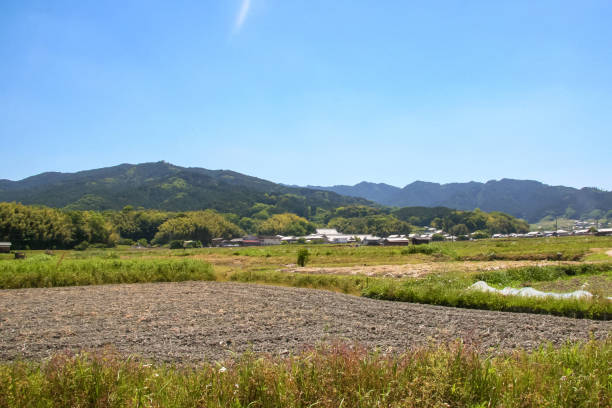 istock peaceful scenery of the countryside 1495565667