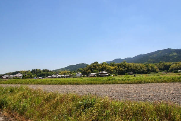 peaceful scenery of the countryside
