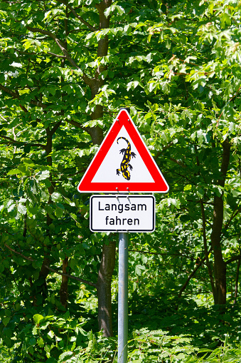 caution of salamander - german warning sign