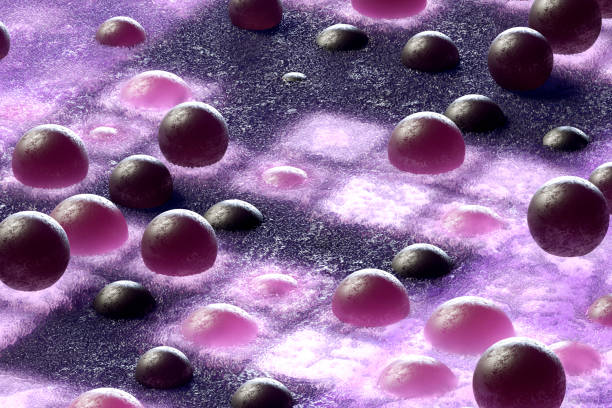 Microscopic View of a Fungal Head (Conidiophore) with Blue Stain