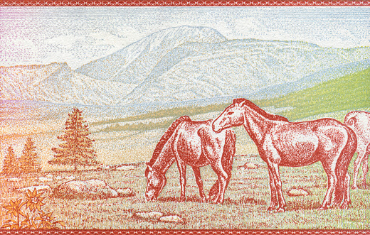 Cancelled Stamp From The United States Featuring Mount McKinley National Park In The State Of Alaska.