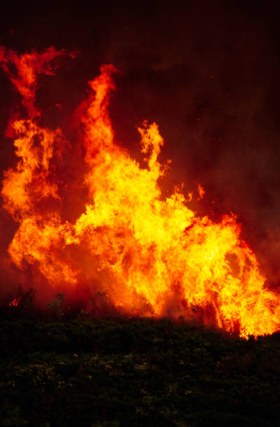 istock Wild bushfire burning out of control 1495575356