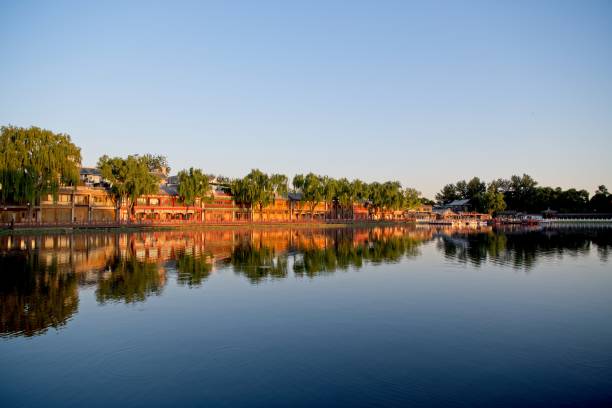 Surface mirror of South lake framed with huge Afgan pine trees in Dos Lagos park, Glendale, Arizona