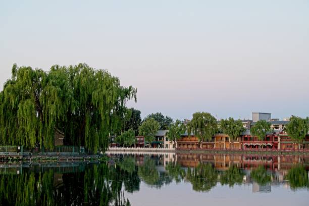 istock Morning at Houhai park 1495575964