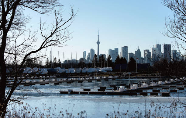 istock Toronto Skyline on a Sunny Afternoon 1495578542