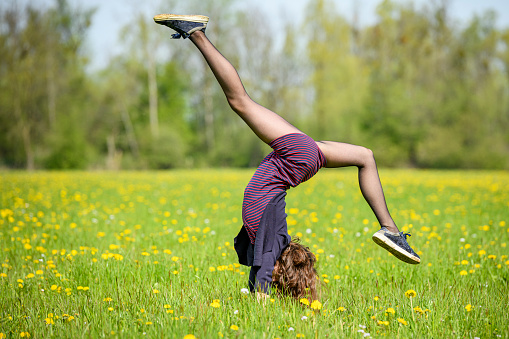 Teenage girl making handstand outdoors in a blooming meadow