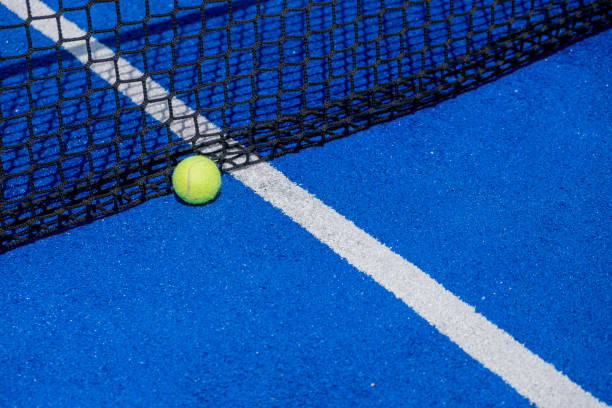 istock Blue paddle tennis court netting 1495581337