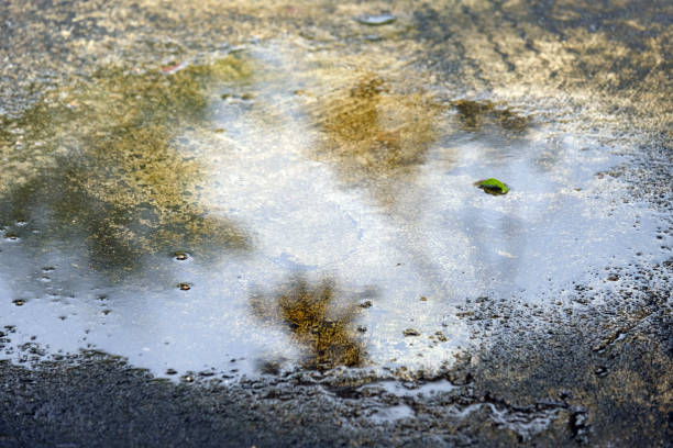 istock reflect on water and wet floor 1495582253