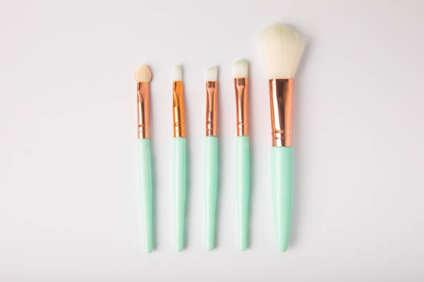 Cosmetic makeup brush isolated on white background. Professional makeup brush set.