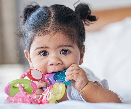 Portrait, baby girl and biting toys in bedroom, house and home for development, growth and teething progress. Cute kid, face and chewing rattle in mouth for tooth, child and playing in nursery room