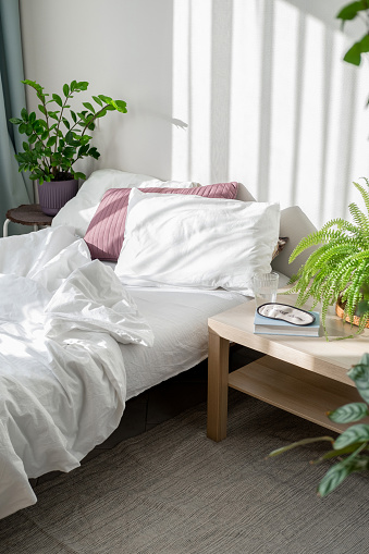 Bedroom interior in a Scandinavian minimalist style with plants. Urban jungle. Morning vibes. Bedroom interior concept. Sunny morning.
