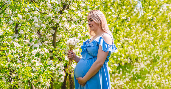 Pregnant woman with dandelions in the garden. Selective focus. Nature.