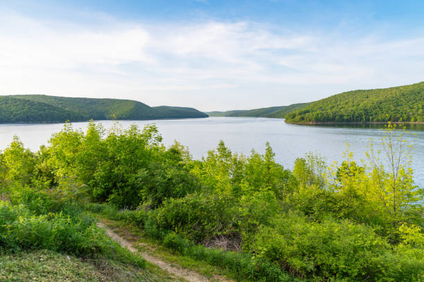 istock Woods hiking trail summer activity, vacation lifestyle, copy space backgrounds 1495597572