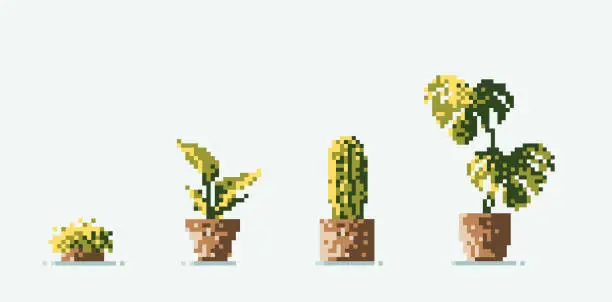 Vector illustration of House plants pixel art style. Vector modern illustration