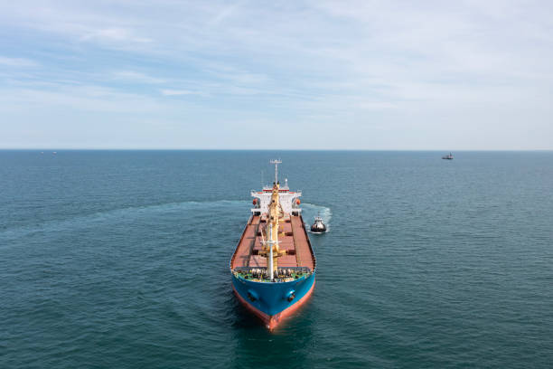 istock Aerial view of Container freight ship in transit. 1495601781