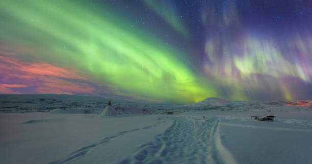 istock Northern lights (Aurora borealis) in the sky over Tromso, Norway 1495602595