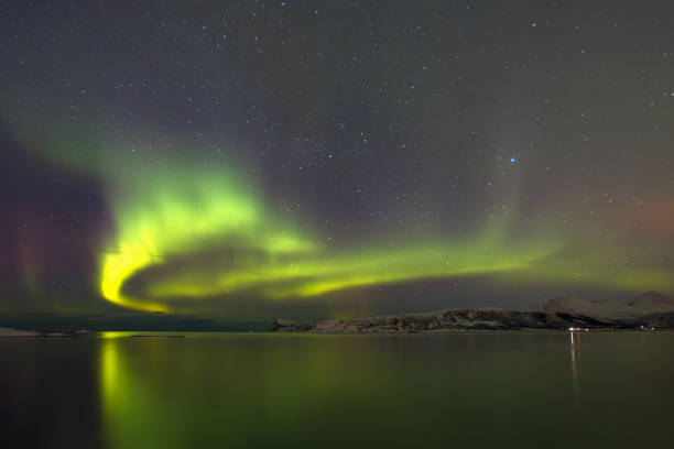 istock Northern lights (Aurora borealis) in the sky over Tromso, Norway 1495603435