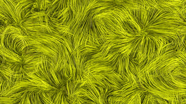 istock Abstract background of green color fur 1495604495