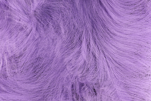 Abstract background of purple color fur. Digitally generated image.