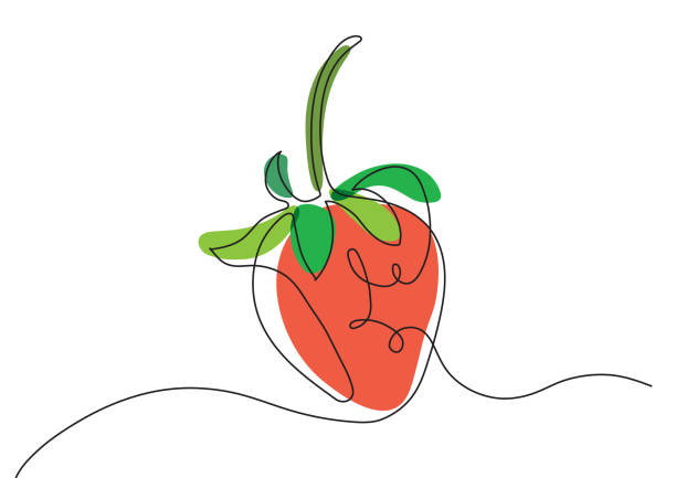 Vector strawberry with one line style and spots Clip art of vector strawberry with one line and blot style for design and decoration chandler strawberry stock illustrations