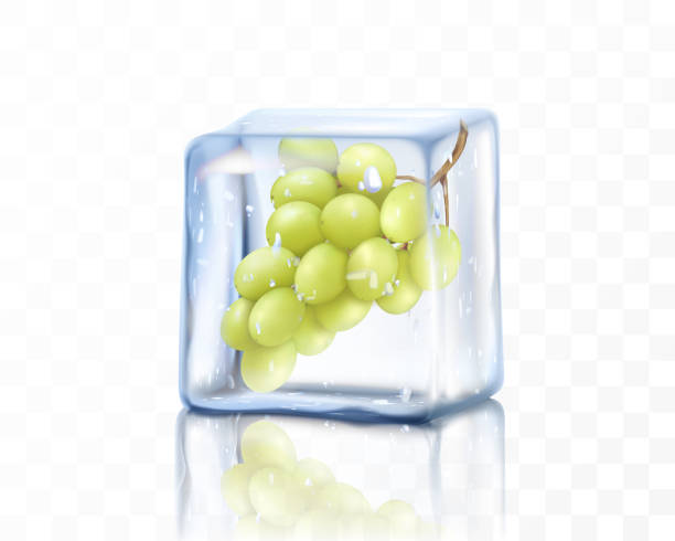 Fresh ripe grape in ice cube isolated on transparent background. Frozen bunch of green grapes, realistic 3d vector illustration Fresh ripe grape in ice cube isolated on transparent background. Frozen bunch of green grapes, realistic 3d vector illustration frozen grapes stock illustrations