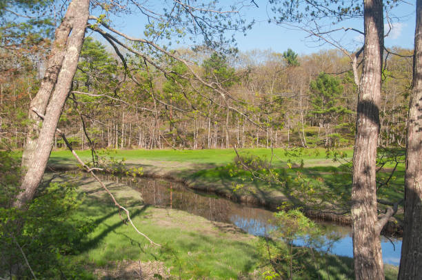 zak preserve marsh landscape maine