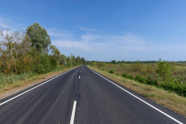 istock Narrow paved road for cars 1495621468
