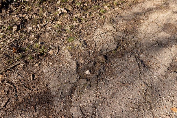 istock damaged and broken asphalt highway, close-up 1495621741