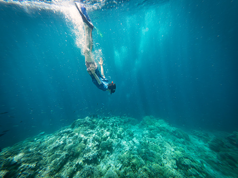 Young man snorkeling and diving underwater to view Coral Garden Reef near Menjangan Island, Bali, Indonesia