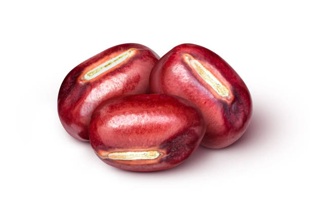 red adzuki bean (azuki or japanese red bean) - adzuki bean imagens e fotografias de stock