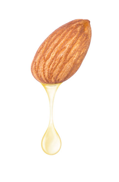 istock Almond oil 1495626767