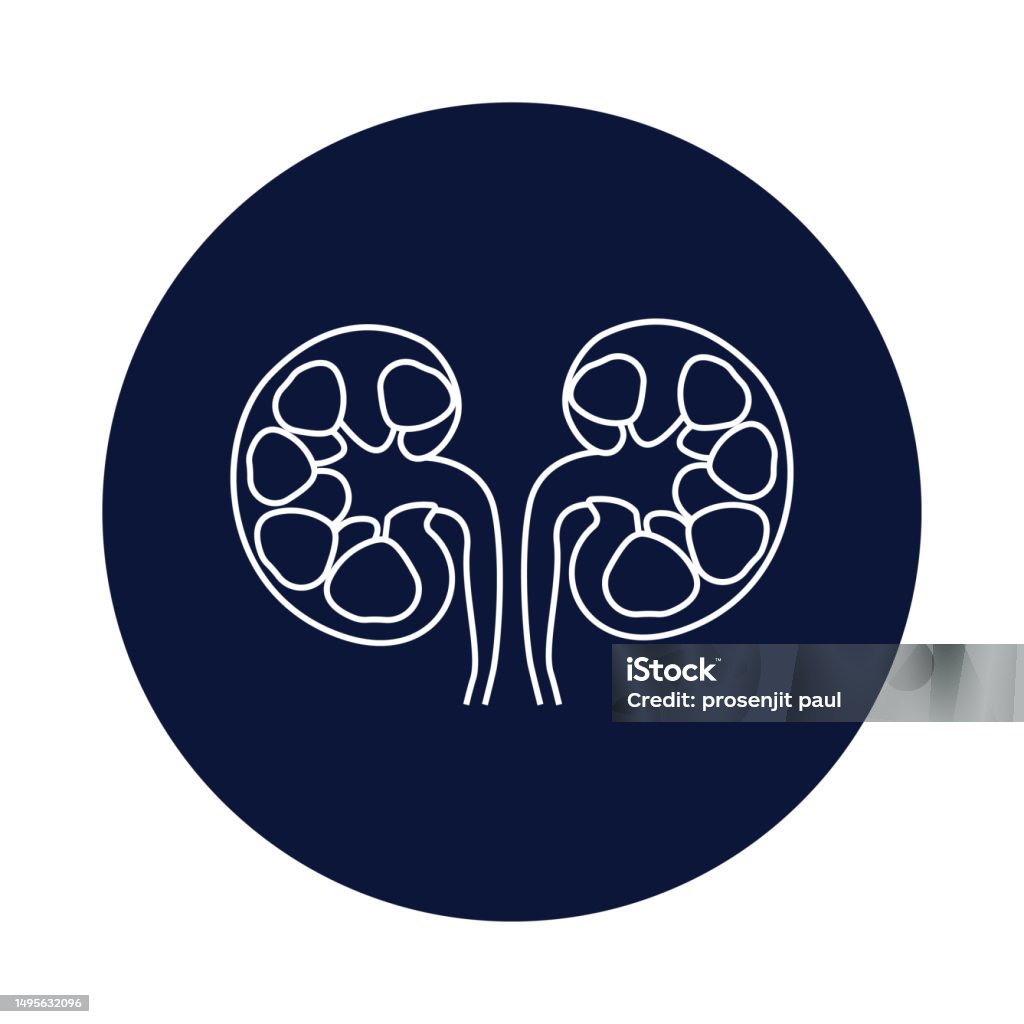 Kidney Human Kidney Diagram Of Kidney Kidney Icon Stock Illustration Biology Diagrams
