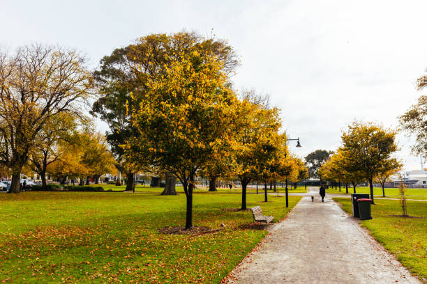istock Williamstown Waterfront in Melbourne Australia 1495636277