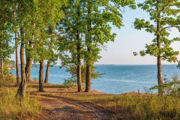 Picturesque winding road in the forest near the seaside. Dirt road and trees on the coast