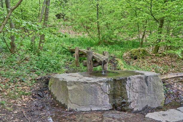 istock Siegquelle, the source of river Sieg in the Rothaargebierge. 1495638413