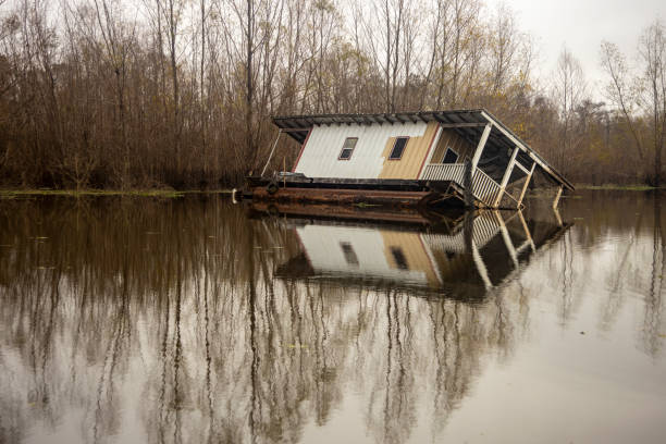 istock OLD HOUSEBOAT IN SWAMP 1495640704