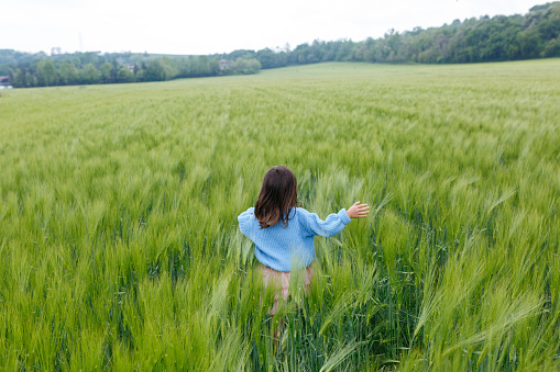 rear view of small child in blue sweater running in a vast field of wheat