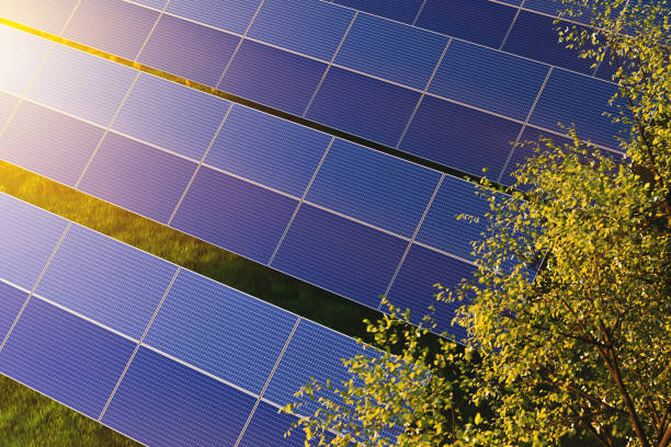 istock Solar panels among green trees in the forest at sunset 1495642175
