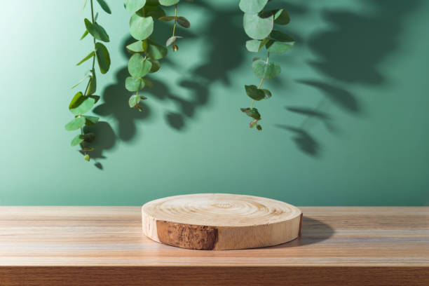 istock Empty wooden round board podium on table with eucalyptus leaves and shadows over green background. Cosmetic and spa mock up for design and product display 1495644080