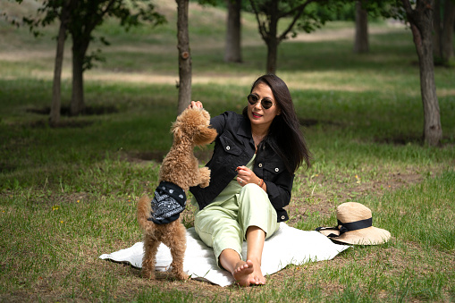A beautiful Asian girl (Kazakh woman) feeds her dog (mini poodle) from her hands. Summer portrait of a young woman in the park.
