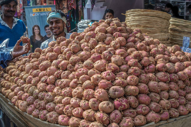 12 22 2014 Veg Pink Potatoes in Sasaram Market Bihar India Asia.