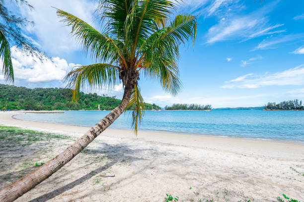 istock empty beach of langkawi island, malaysia 1495647695