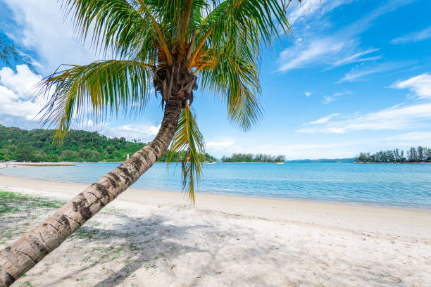 istock empty beach of langkawi island, malaysia 1495647696