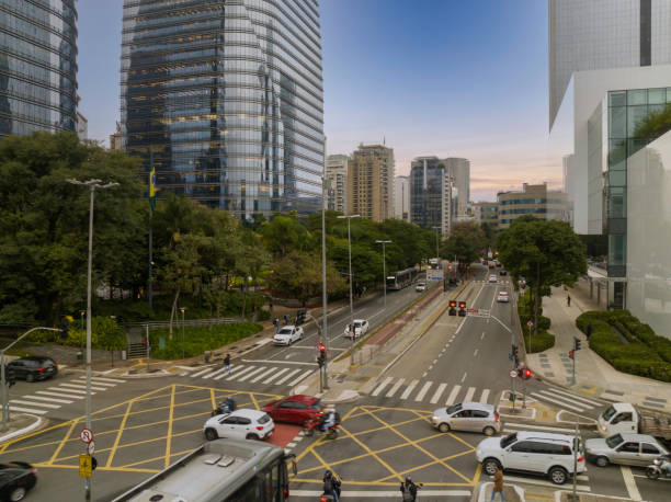 istock Sao Paulo Skyline at dawn 1495648321