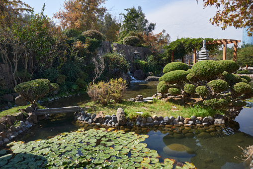 beautiful japanese garden in santiago de chile