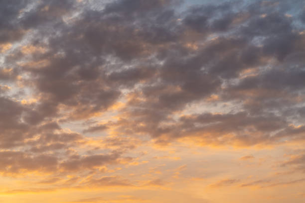 istock Beautiful multi colors sunset sky in a shiny day. 1495651334