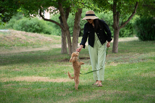 A beautiful Asian girl (Kazakh) walks with her dog (toy poodle). Summer portrait of a young woman in the park.