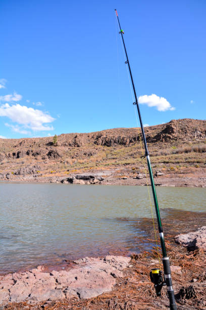 istock Fishing with rod on lake 1495653279