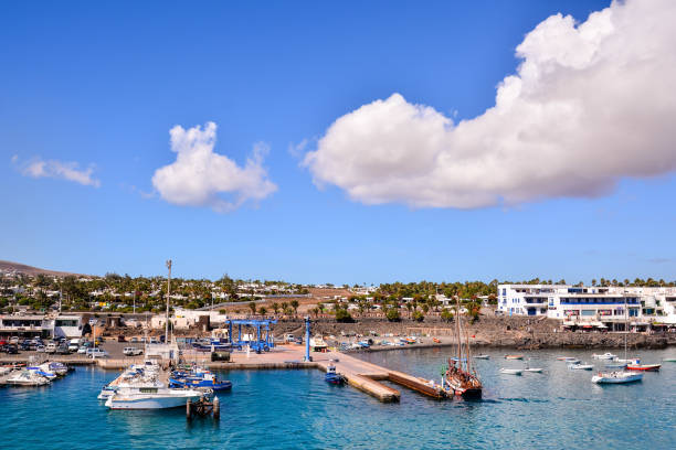 istock Landscape in Tropical Volcanic Canary Islands Spain 1495654870